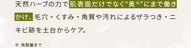 天然ハーブの力で肌表面だけでなく“奥※”にまで働きかけ、
                毛穴・くすみ・角質や汚れによるザラつき・ニキビ跡を土台からケア。
                ※角質層まで